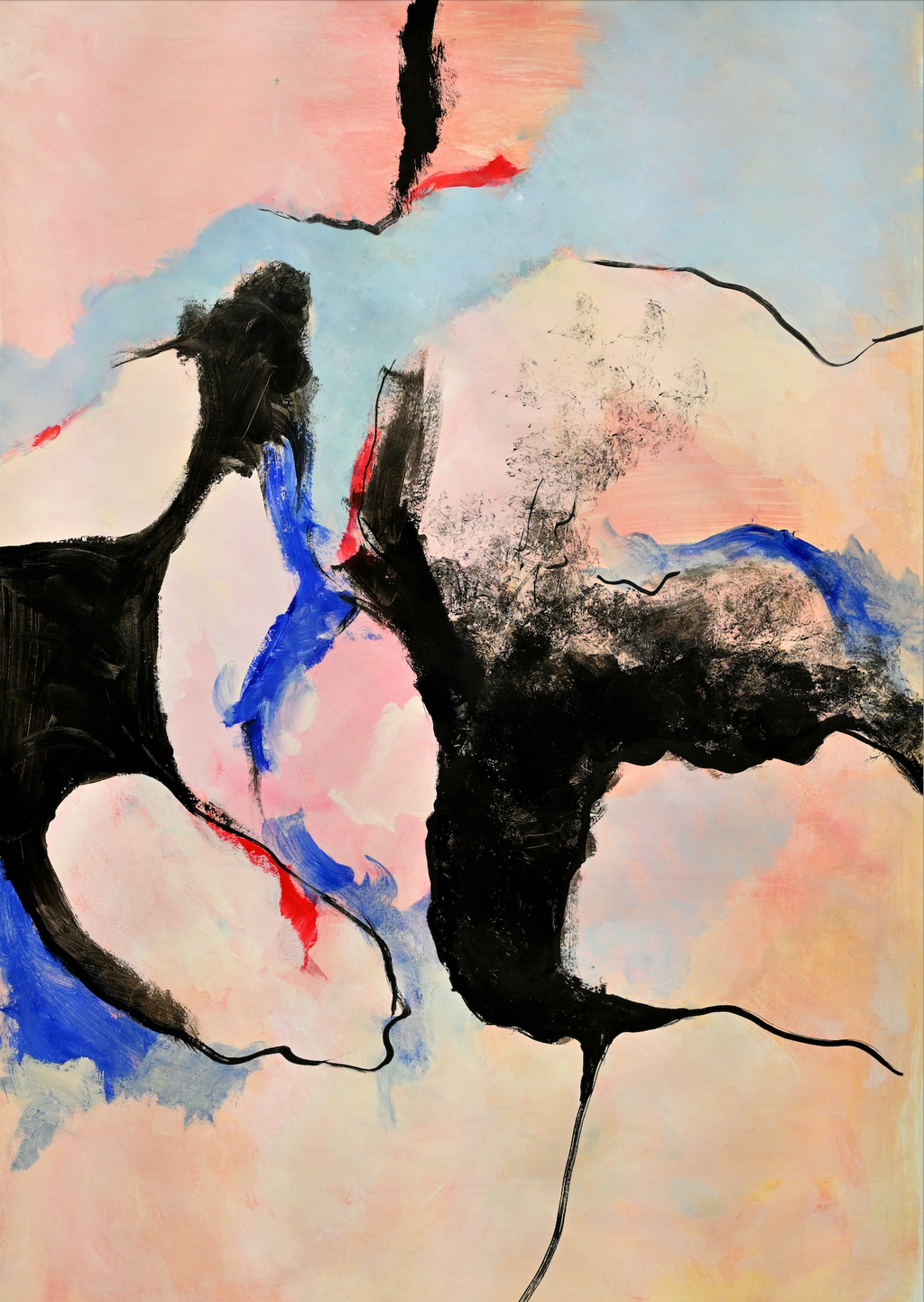 Poster Roze zwart blauw rood